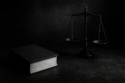 Petit manuel d'auto défense juridique